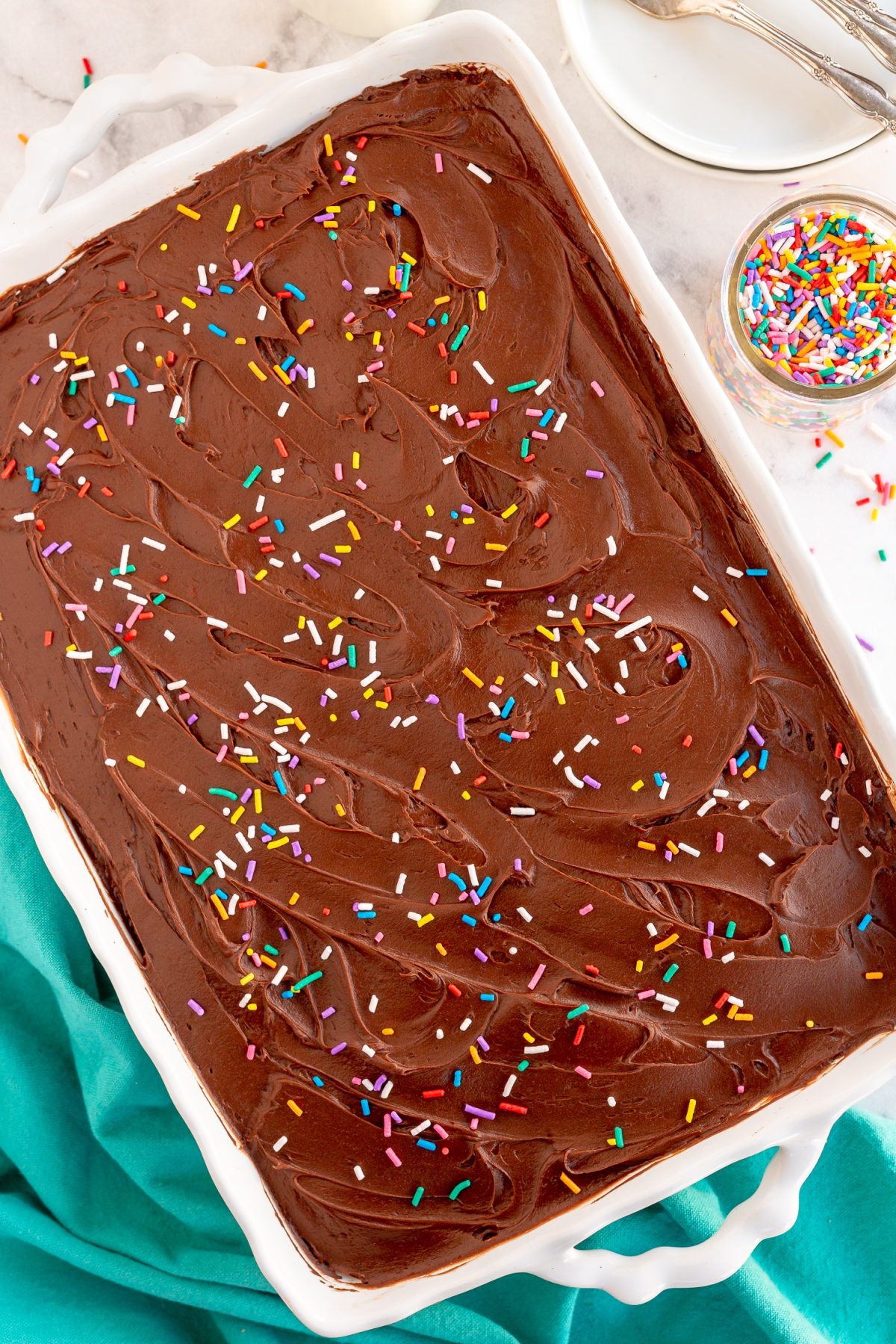 Chocolate cake in 9 x 13 inch pan with rainbow sprinkles