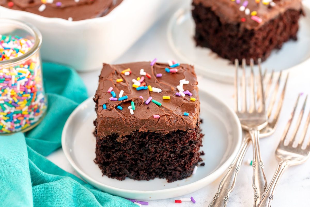 Chocolate cake on white serving plate