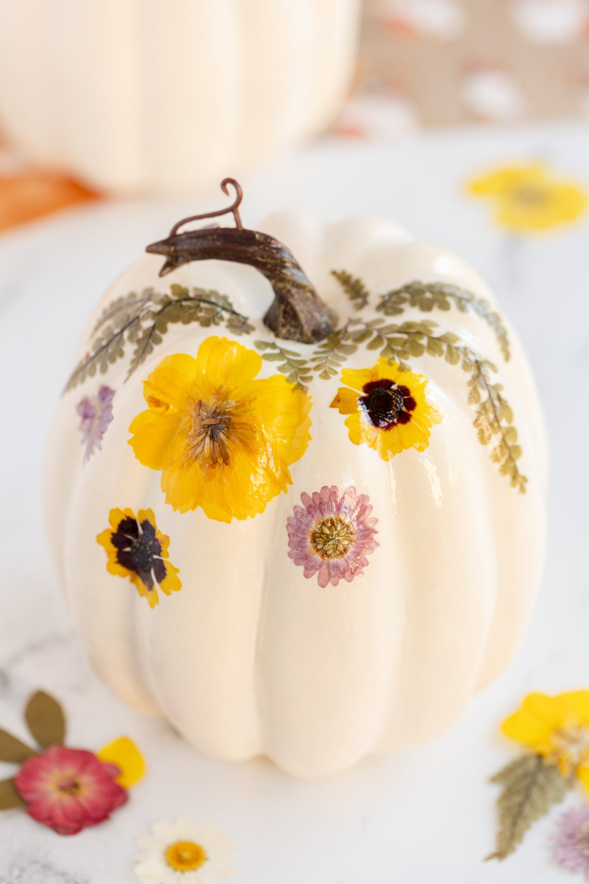 Pretty Pumpkin Decorations Make an Impact - Mod Podge Rocks